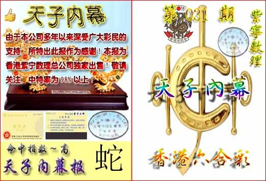 031期天子内幕报B[图]